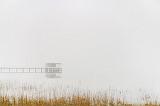 Powderhorn Lake In Fog_32322